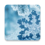 Logo of Winter Live Wallpaper android Application 